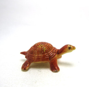 Schildkröten 1978 Diamantschildkröte 