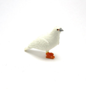 Vögel (EU) 70er Jahre / 62